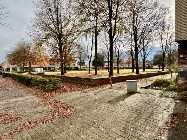 Foto 3 van Tindijk 21