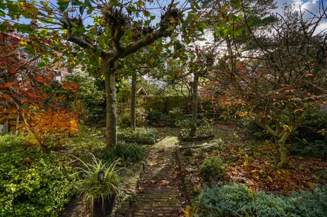 Aronskelkweg thumbnail