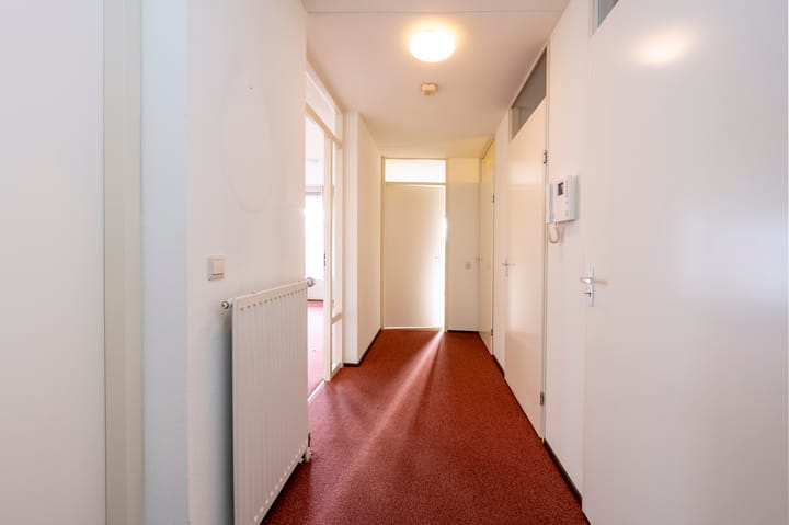 Foto 12 van Bernstein 76