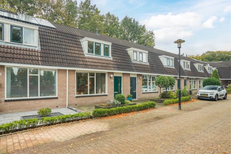 undefined main image