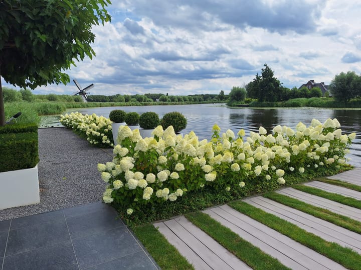 Foto 83 van Kortland 47