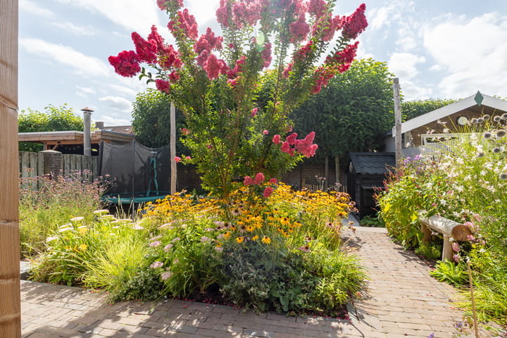 Foto 40 van Pastpaedje 20