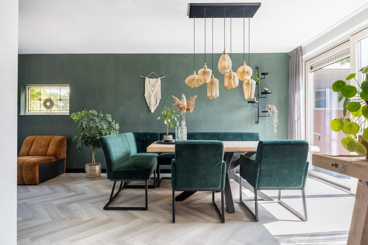 Foto 9 van Pastpaedje 20