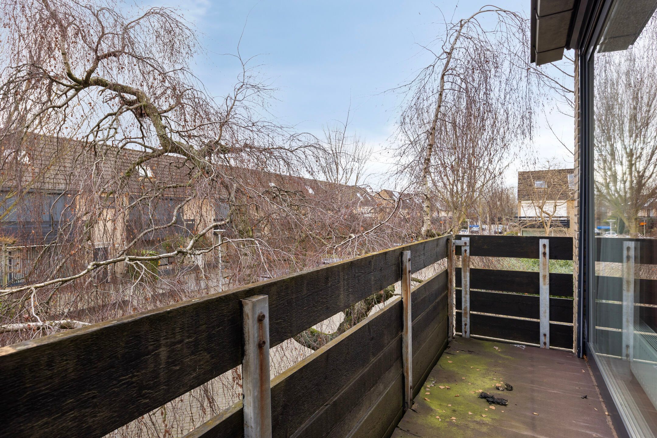 Foto 27 van Tankenberglaan 12