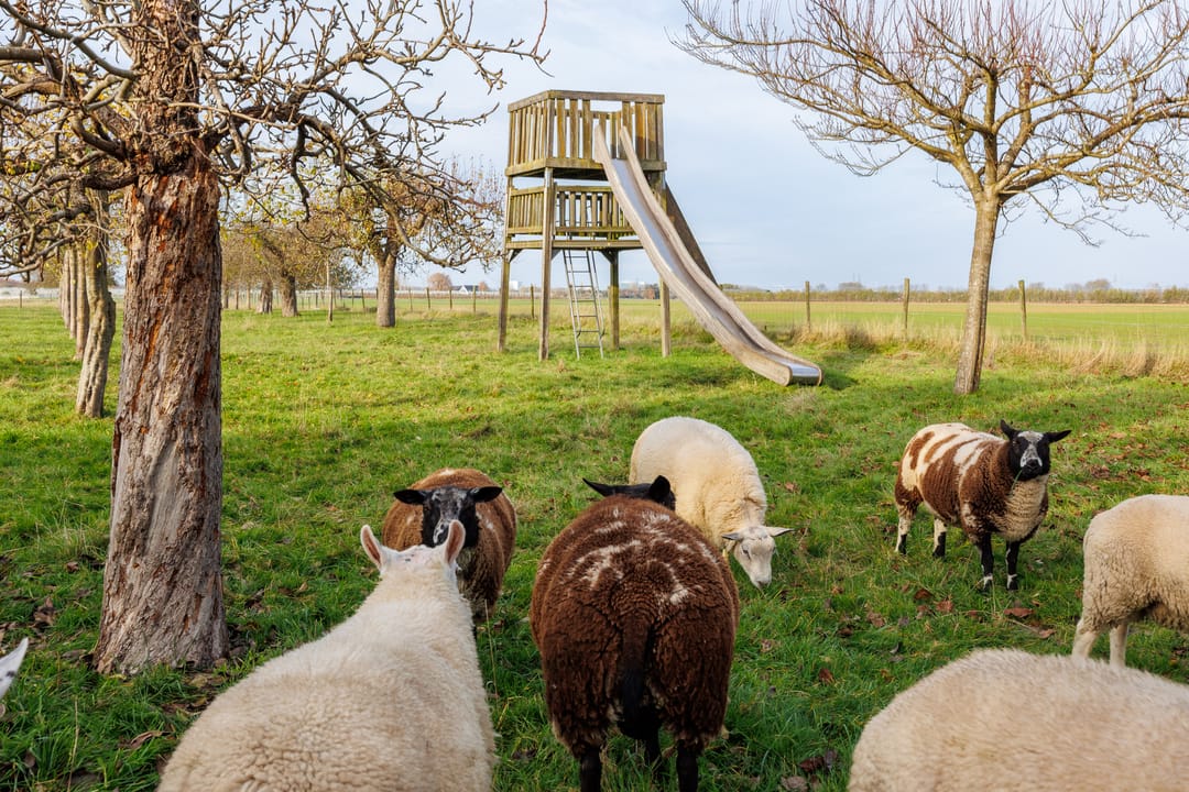 Foto 2 van Houtenseweg 12