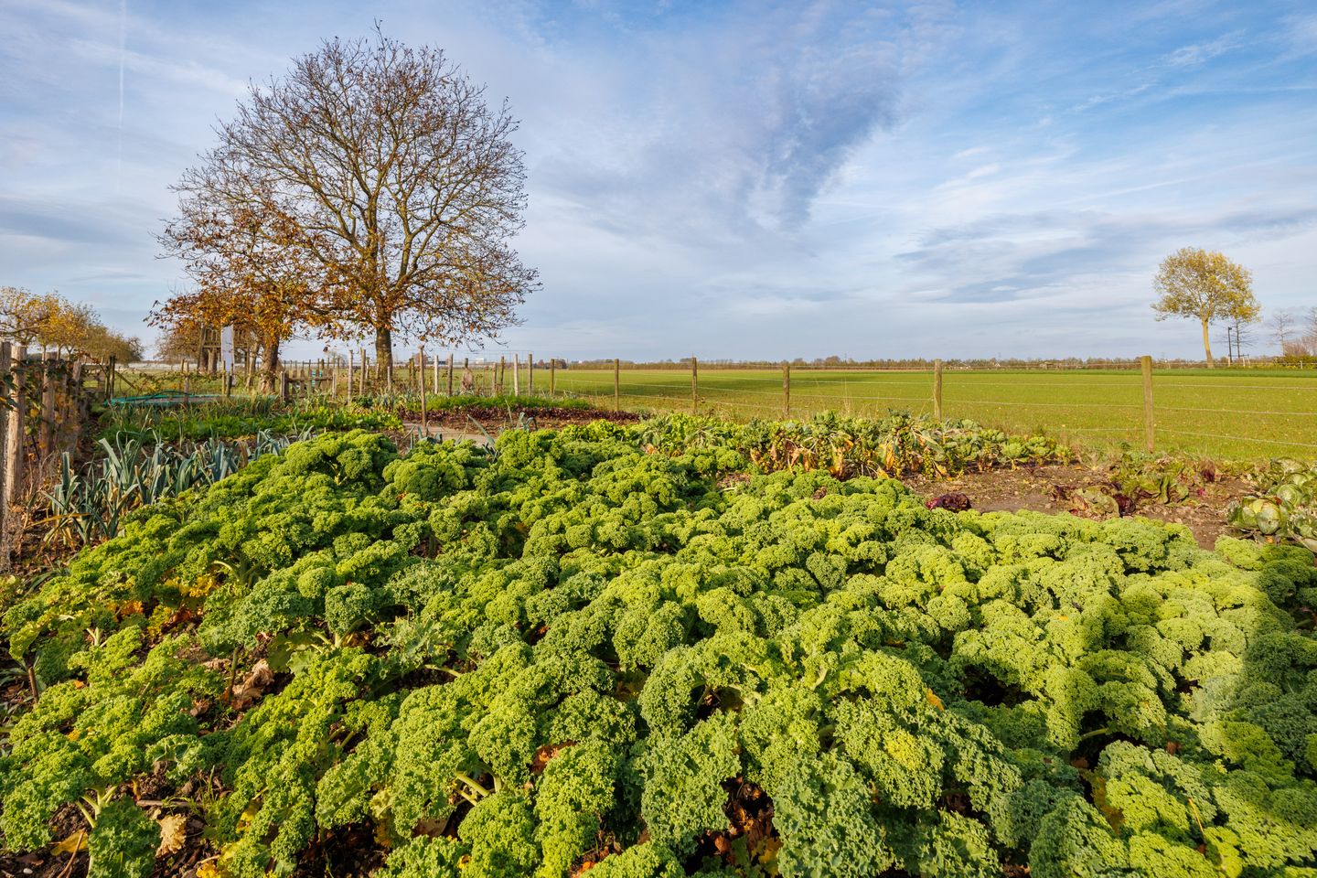 Foto 14 van Houtenseweg 12