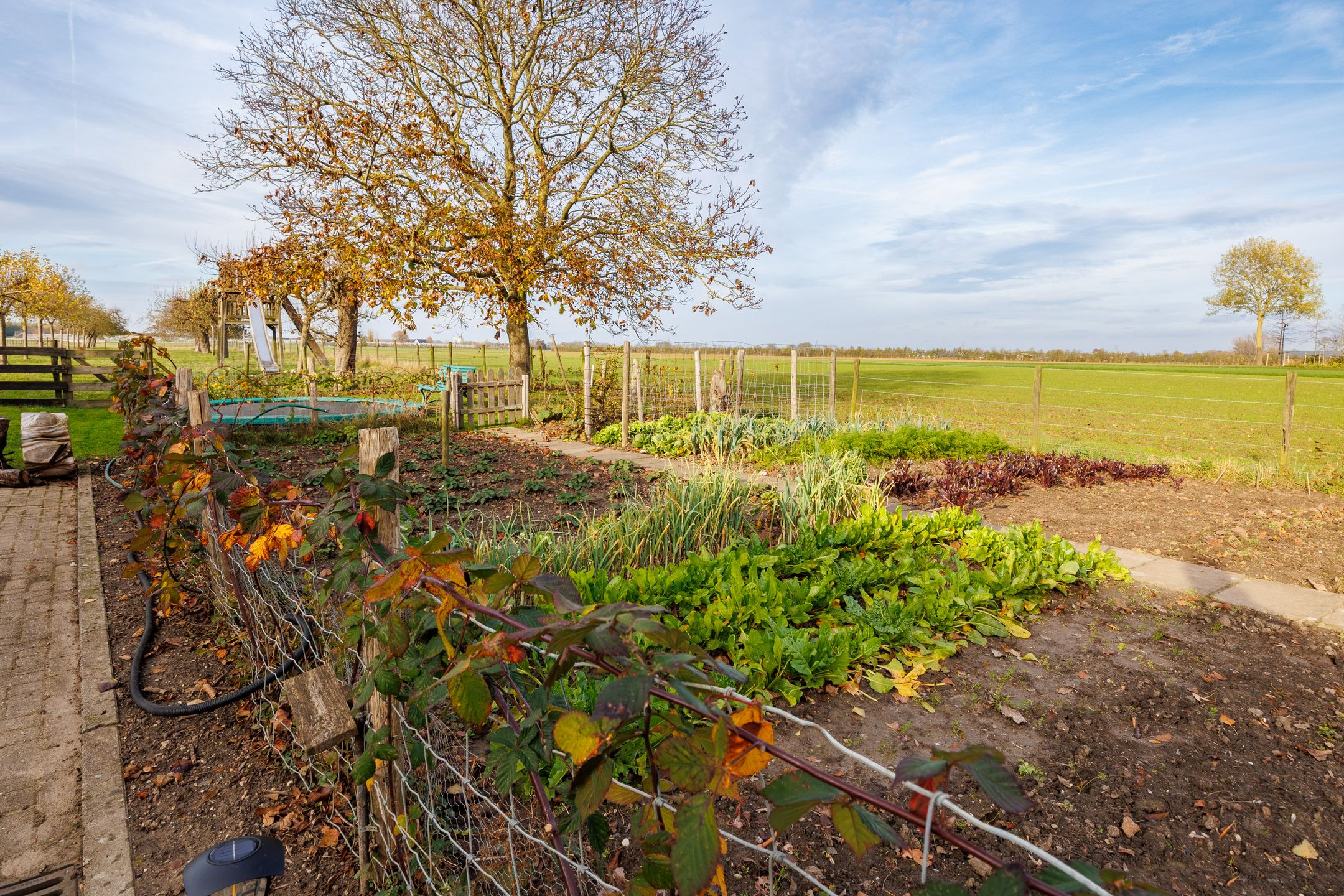 Foto 15 van Houtenseweg 12