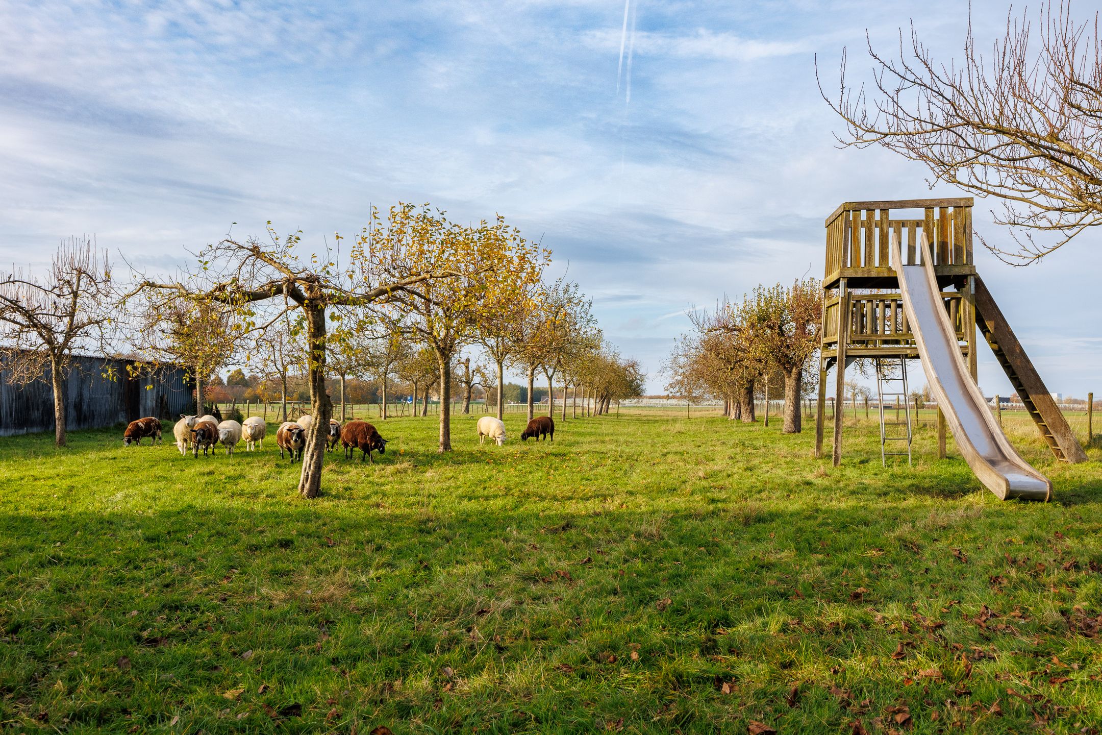 Foto 18 van Houtenseweg 12