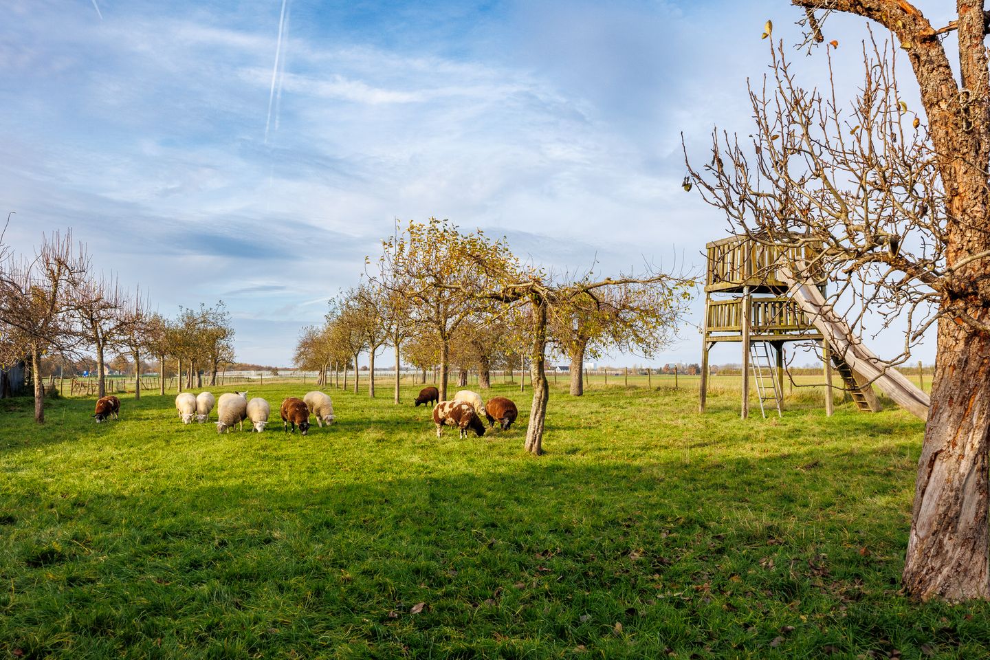 Foto 19 van Houtenseweg 12