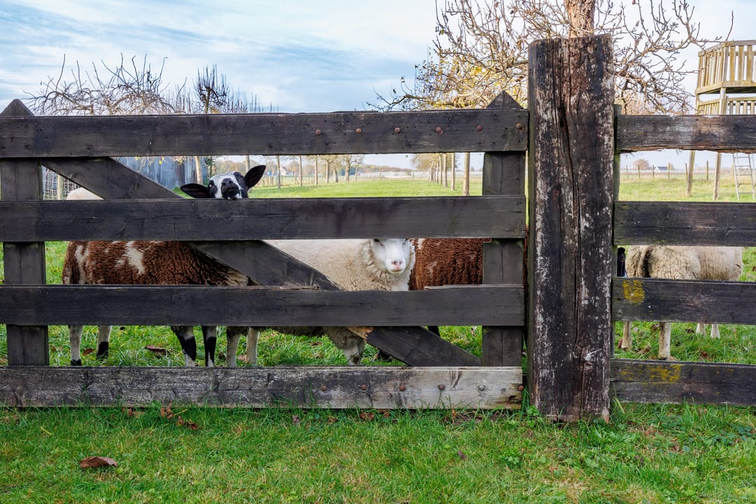 Foto 22 van Houtenseweg 12