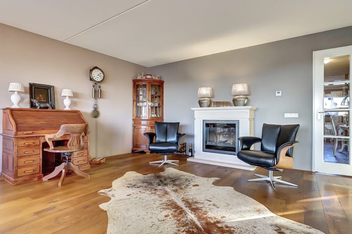 Photo 5 of De Spinne 103