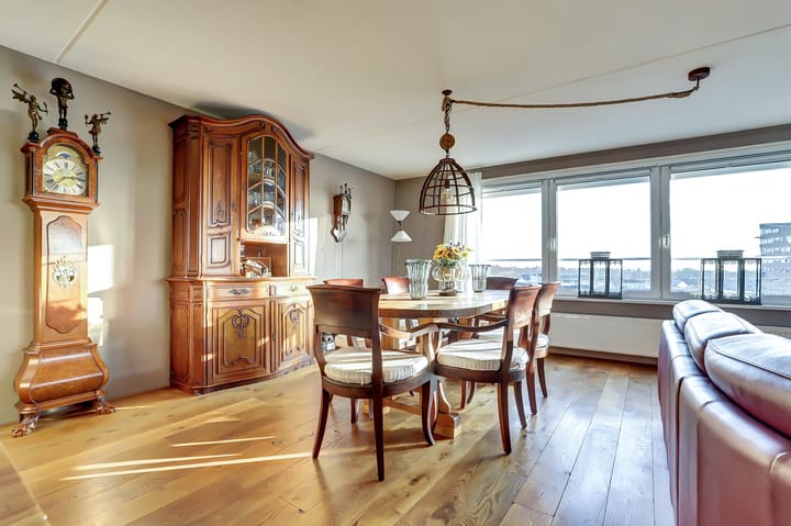 Photo 7 of De Spinne 103