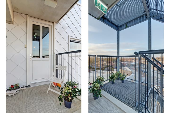 Photo 21 of De Spinne 103