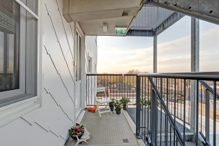 Photo 22 of De Spinne 103