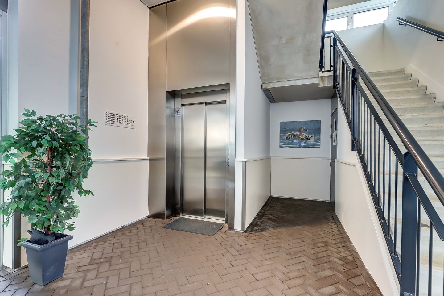 Foto 25 van De Spinne 103