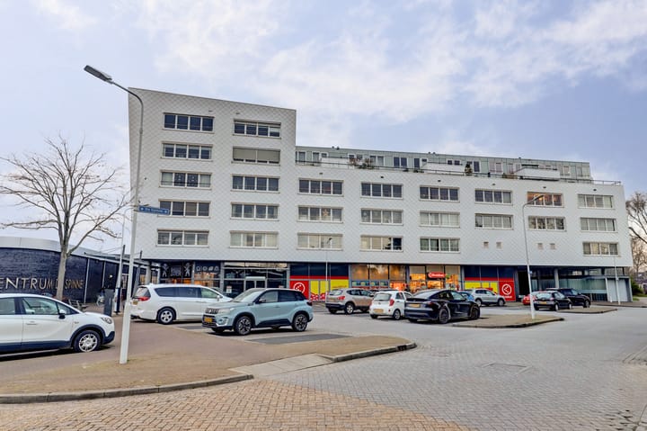 Photo 29 of De Spinne 103