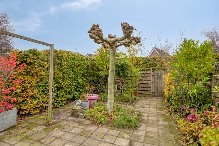 Photo 24 of Markiezenstraat 22