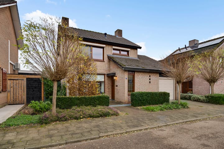 Oeverzicht 9 main image