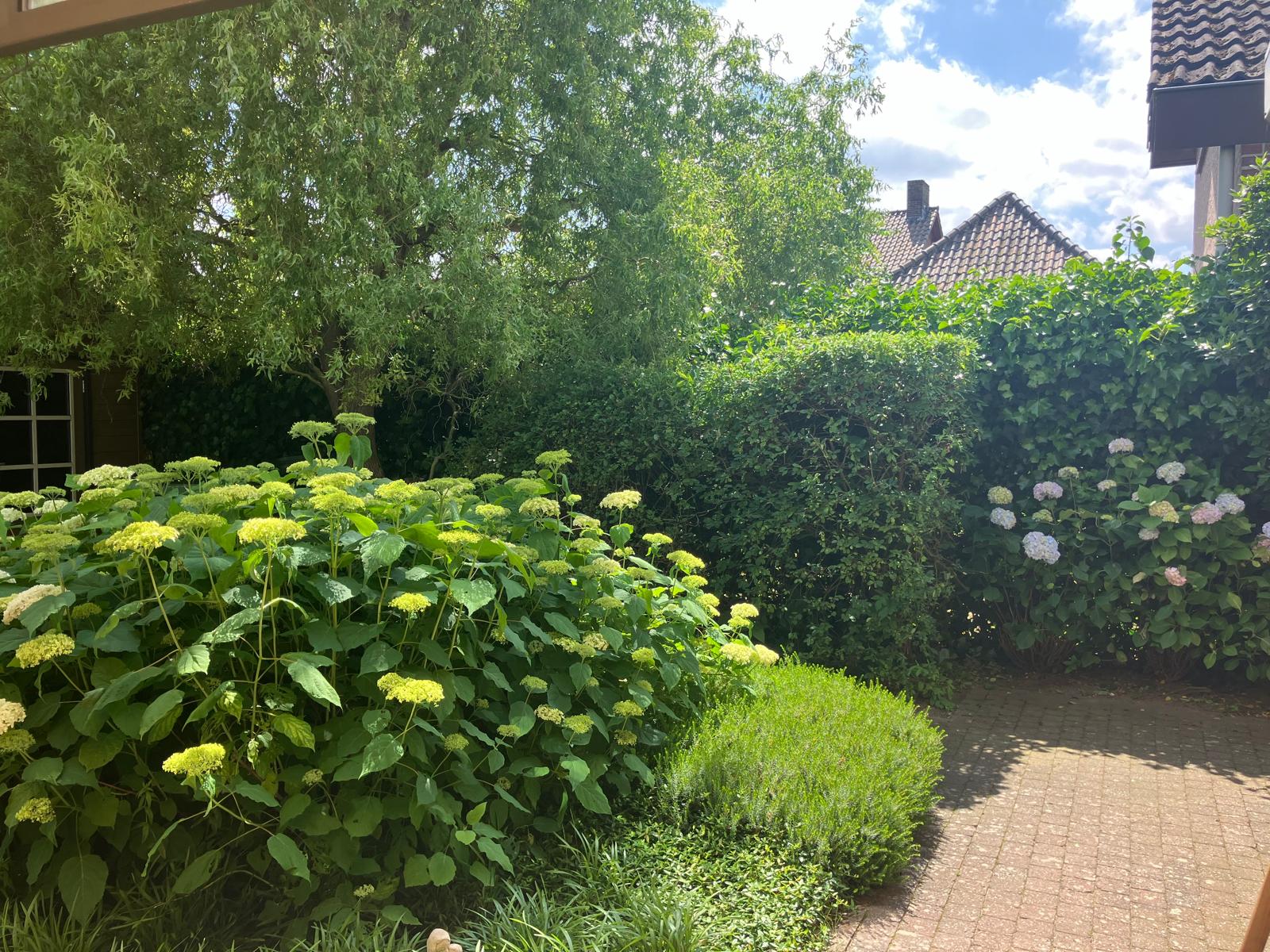 Foto 36 van Oeverzicht 9