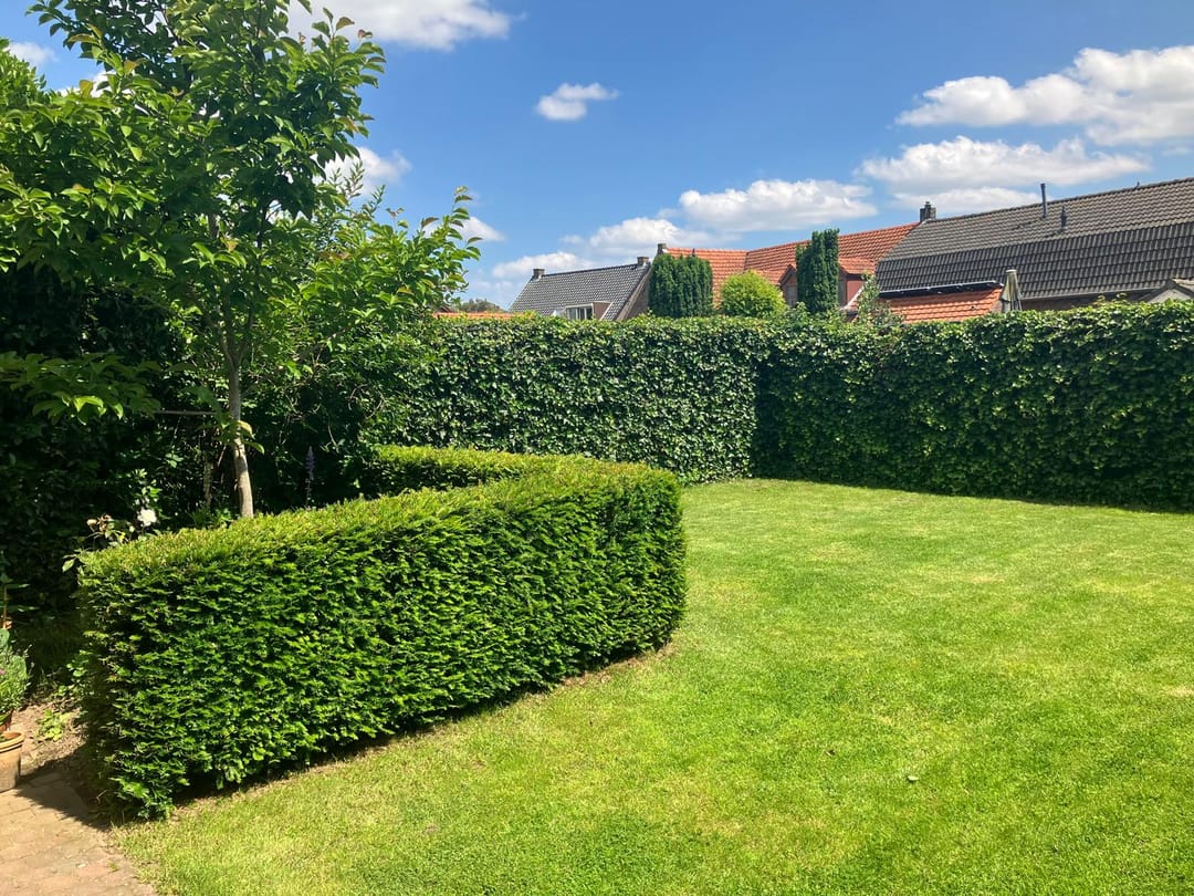 Foto 37 van Oeverzicht 9