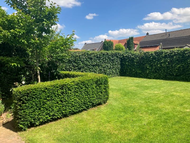 Foto 37 van Oeverzicht 9