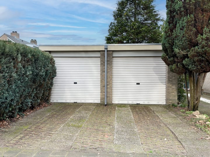 Foto 5 van Scheldelaan 2