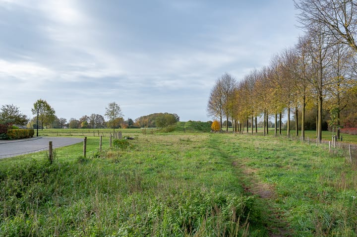 Photo 52 of de Biezenbusse 14