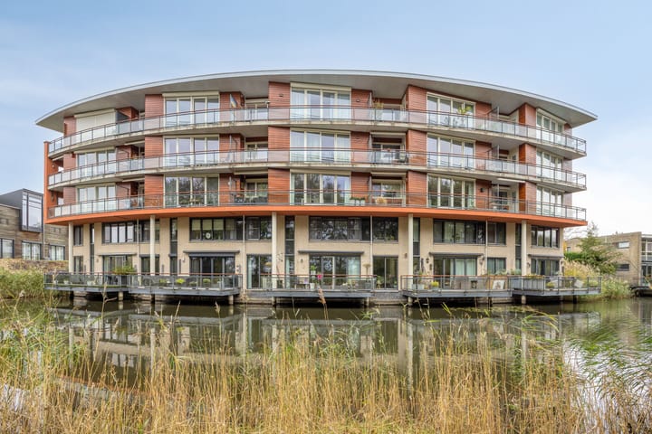 Madeliefberg 62 main image