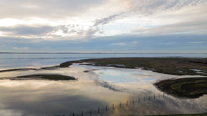 Foto 43 van Plan Herkingen West 4