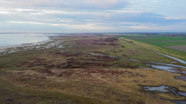 Foto 45 van Plan Herkingen West 4