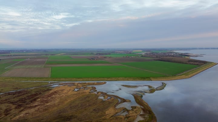 Foto 46 van Plan Herkingen West 4