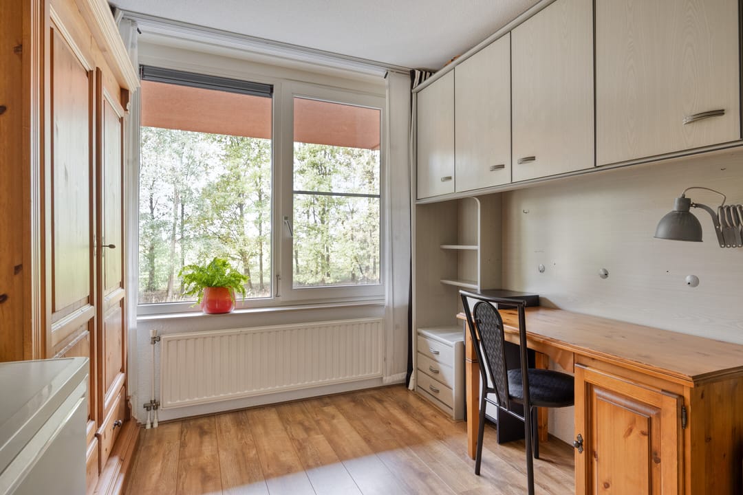 Foto 16 van Madeliefberg 62