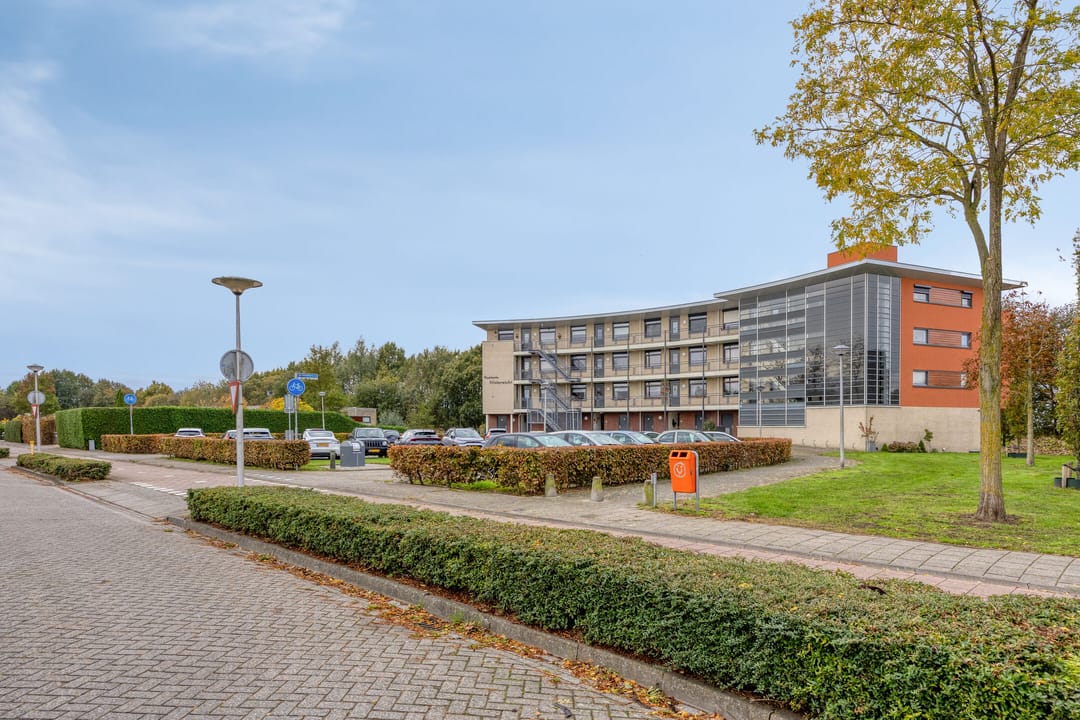 Foto 41 van Madeliefberg 62