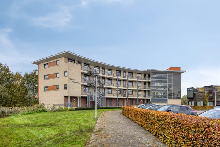 Foto 42 van Madeliefberg 62