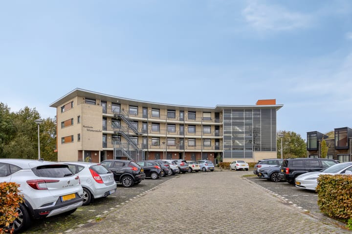 Foto 43 van Madeliefberg 62