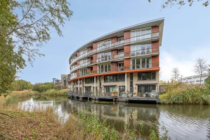 Foto 44 van Madeliefberg 62