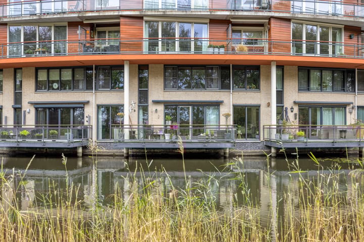 Foto 45 van Madeliefberg 62