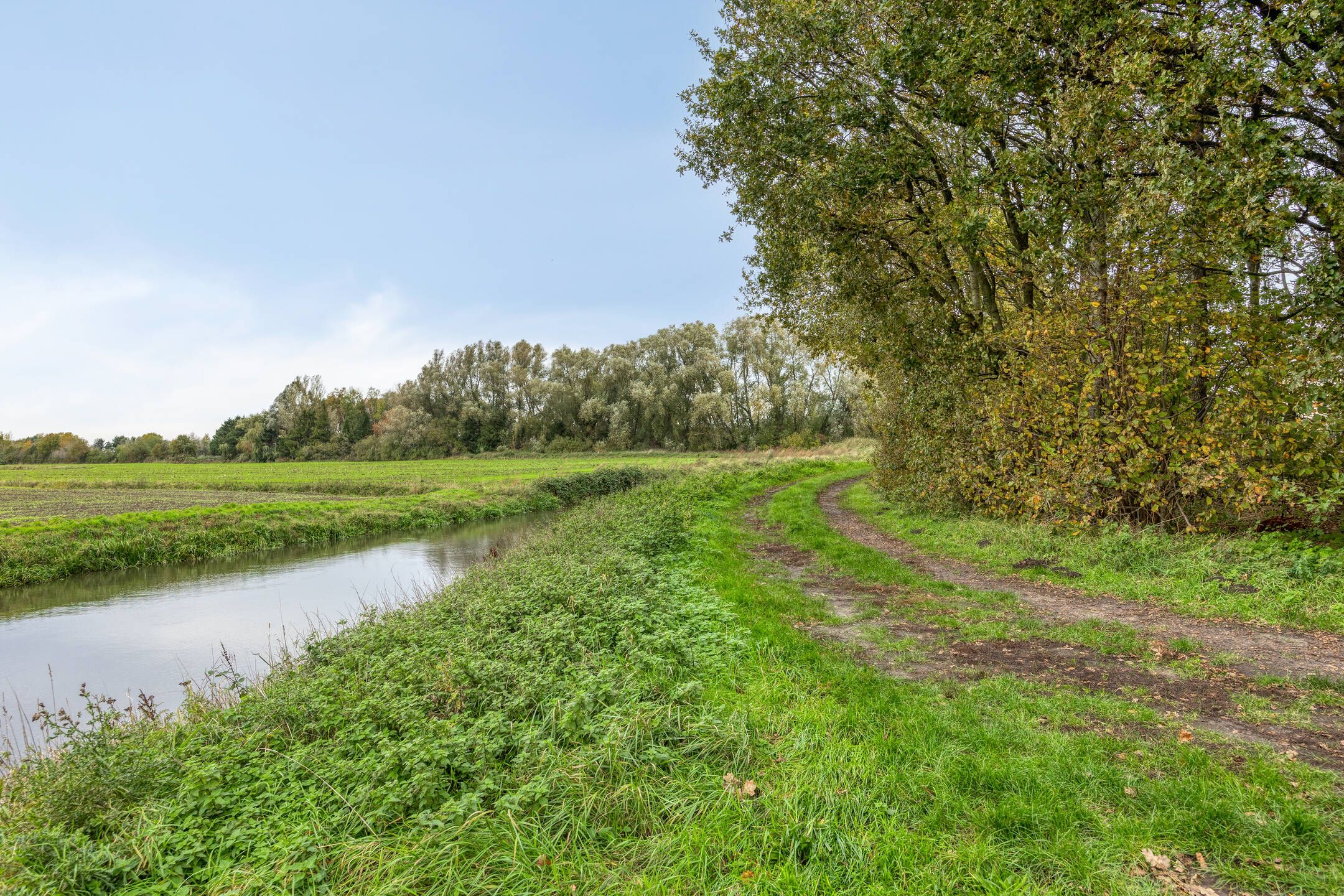 Foto 48 van Madeliefberg 62