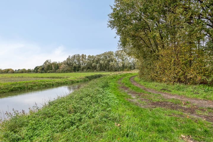 Foto 48 van Madeliefberg 62