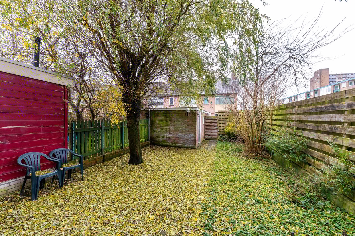 Foto 5 van Abeelstraat 36