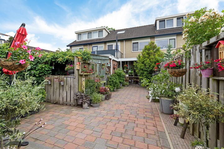 Foto 5 van Zwette 36