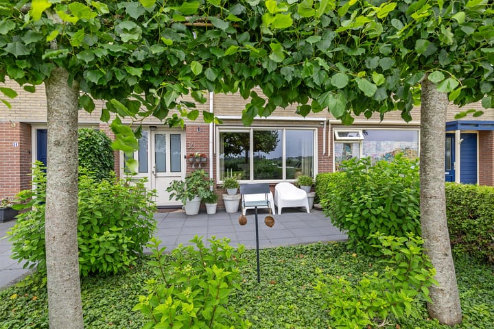 Foto 9 van Zwette 36