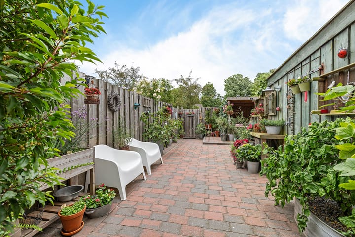 Foto 24 van Zwette 36