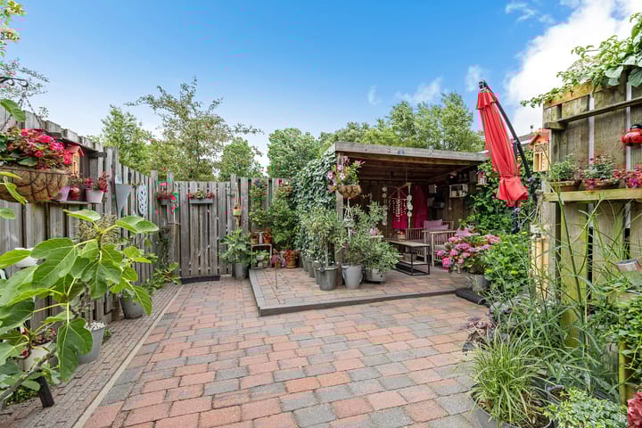 Foto 25 van Zwette 36