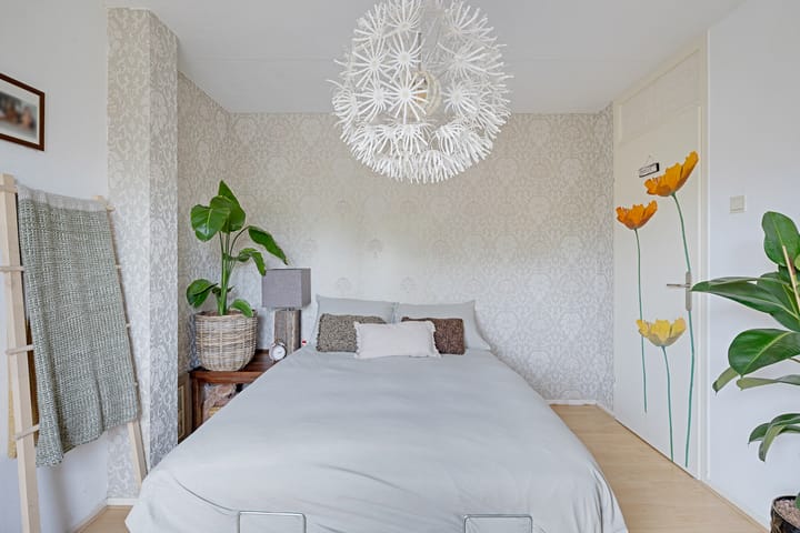 Foto 35 van Zwette 36