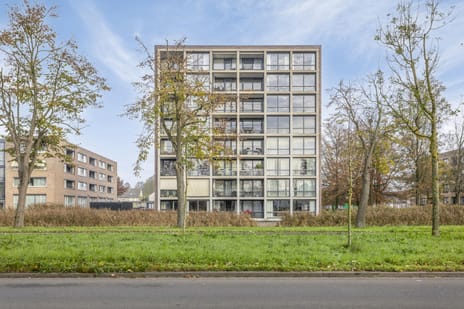 Bernard de Wildestraat thumbnail