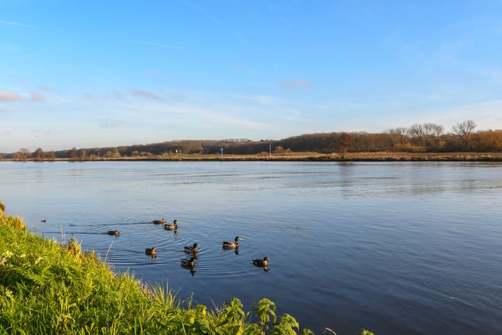 Foto 41 van Markt 28