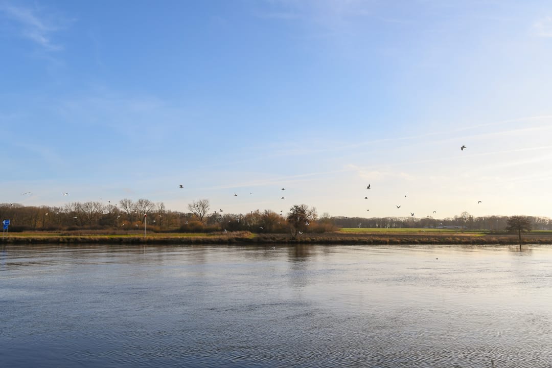 Foto 43 van Markt 28