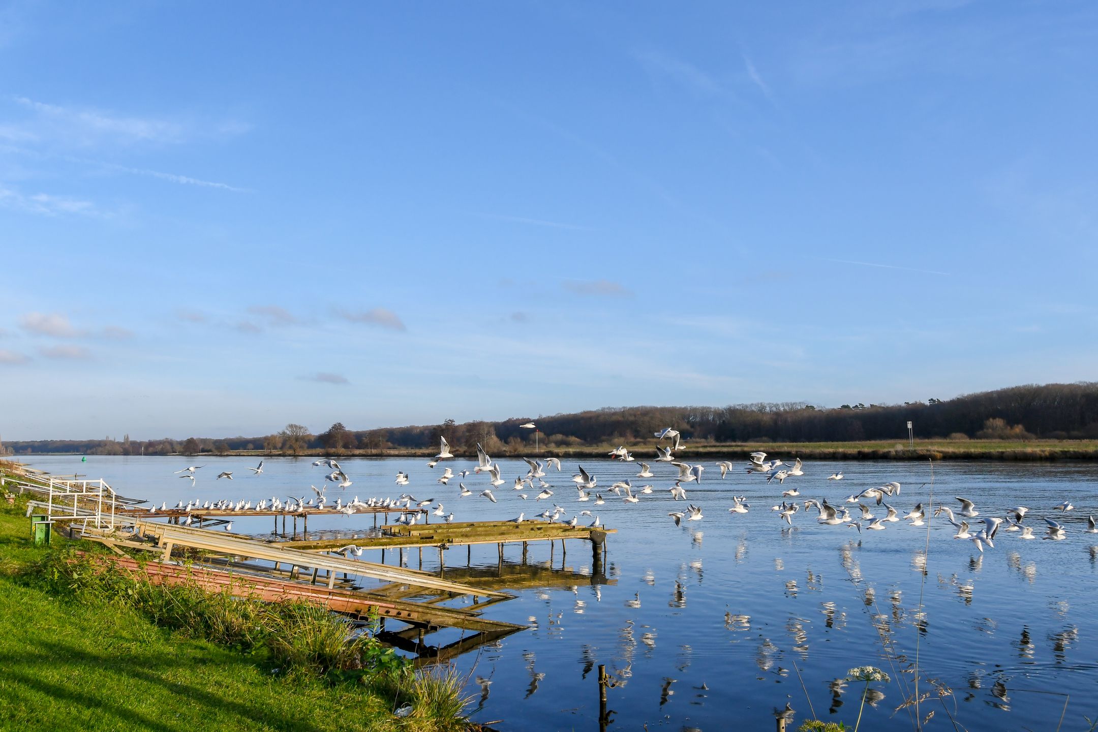 Foto 42 van Markt 28