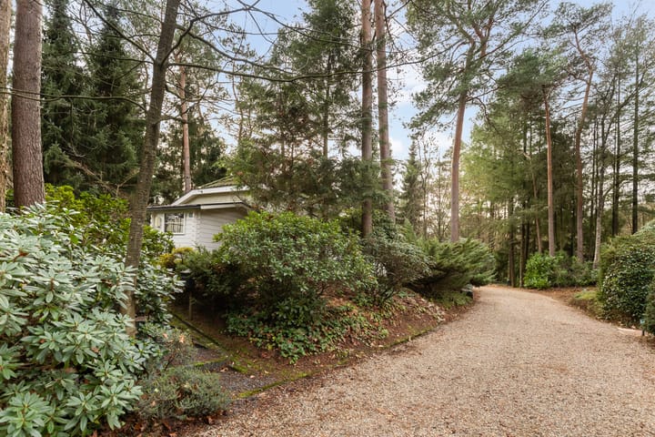 Foto 27 van Reeënbergweg 18-113